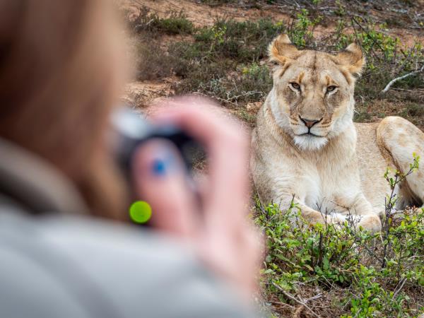 Wildlife Photography Internship, South Africa