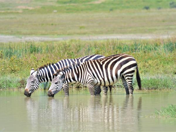 Tanzania green season safari holiday