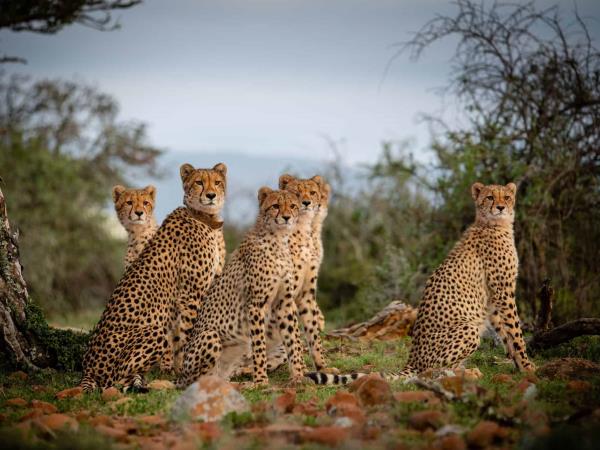 South Africa family adventure holiday