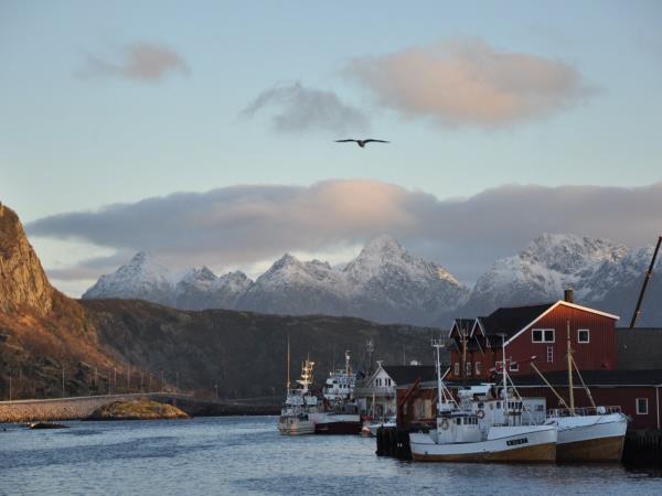 Lofoten sailing holiday in Norway