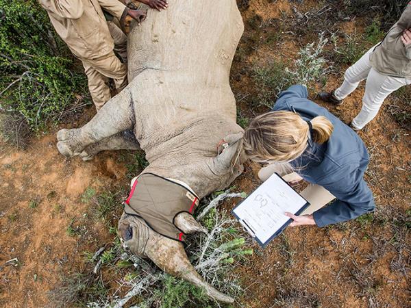 South Africa family adventure holiday