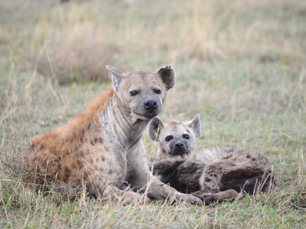 Great migration photography holiday, Tanzania