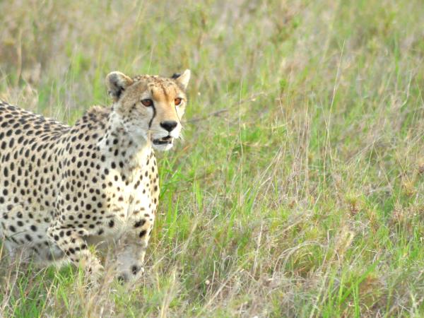 Tanzania green season safari holiday