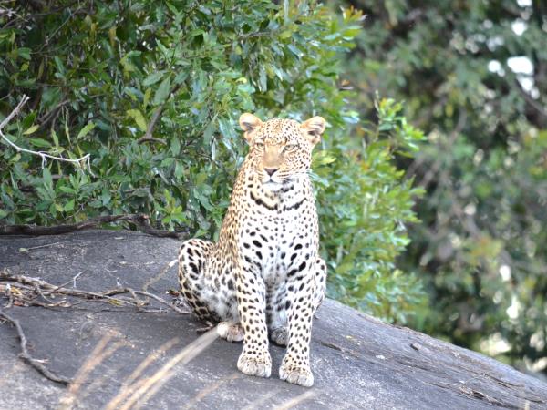 Tanzania green season safari holiday