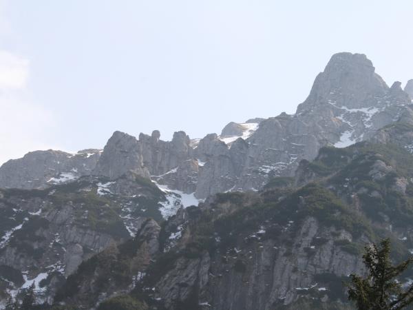 Transylvania wildlife holiday, lynx watching and tracking