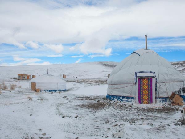 Snow leopards photography tour in Mongolia
