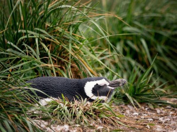 Complete Patagonia small group tour