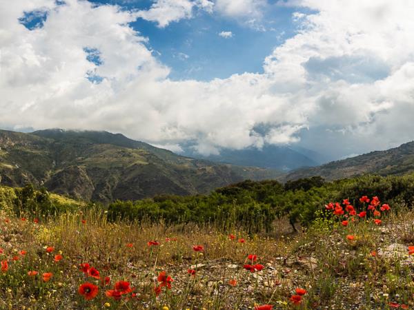 Photography holiday in Andalucia