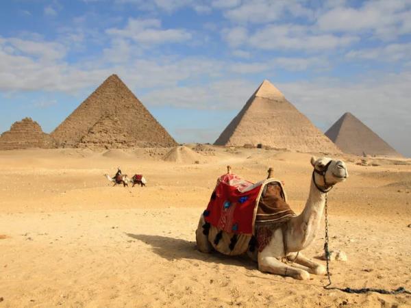 Cairo & Bahariya Oasis holiday, Egypt