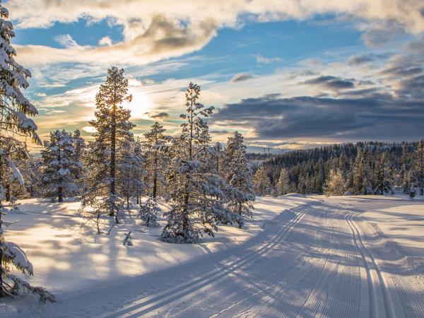 Cross country skiing holiday in Norway