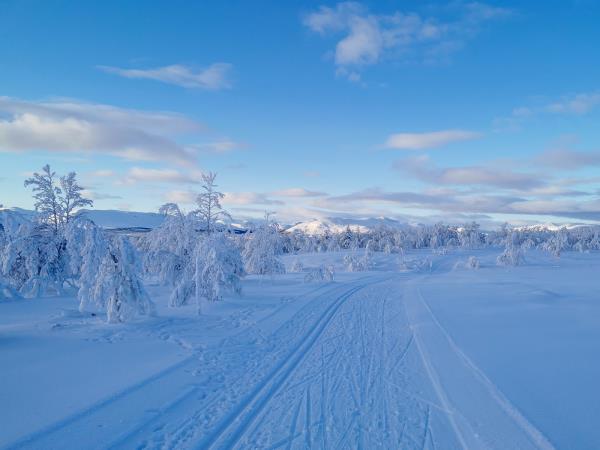 Cross country skiing holiday in Norway