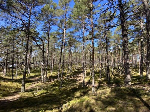 Sweden island hopping hiking holiday