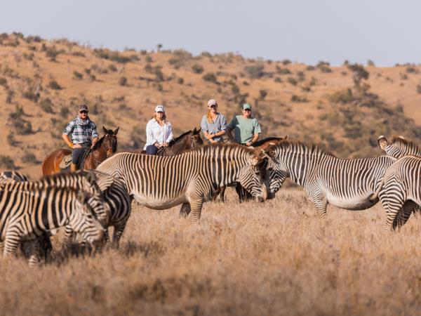 Family safari and beach holidays in Kenya