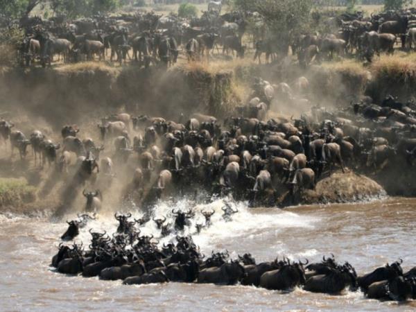 Tanzania luxury family safari and beach holiday