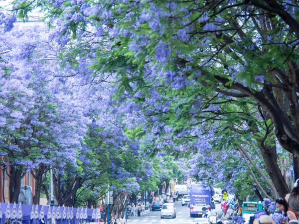 Yunnan 8 day cultural tour, ancient trails 