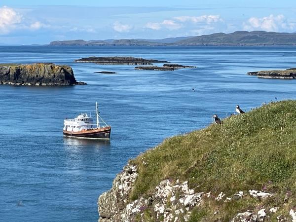 Scotland cruise, islands, whirlpools & puffins