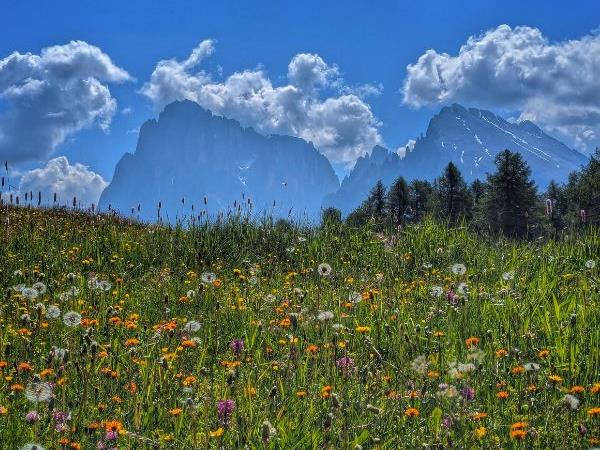 Dolomites small group walking holiday