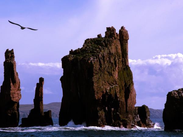 Orkney and Shetland small group tour 