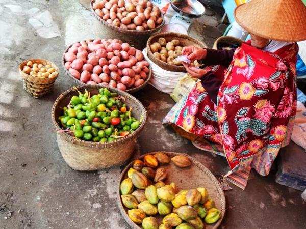 Hiking holiday in northern Vietnam