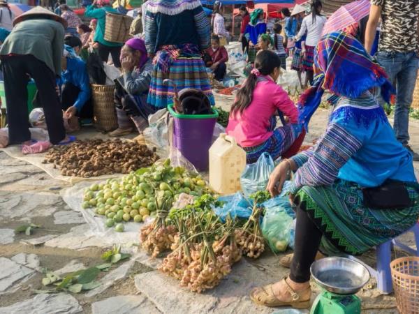 Hiking holiday in northern Vietnam