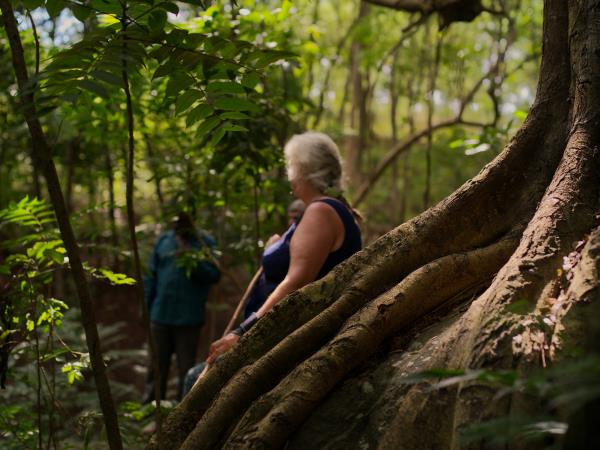 Malawi community volunteering and safari holiday