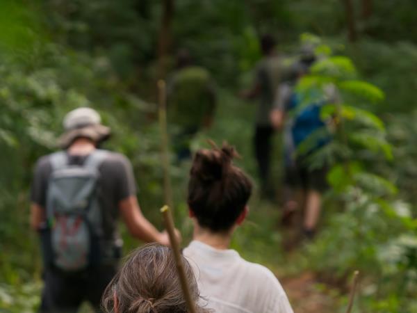 Malawi volunteering and safari holiday