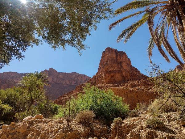Painters retreat in mountains in Southern Morocco