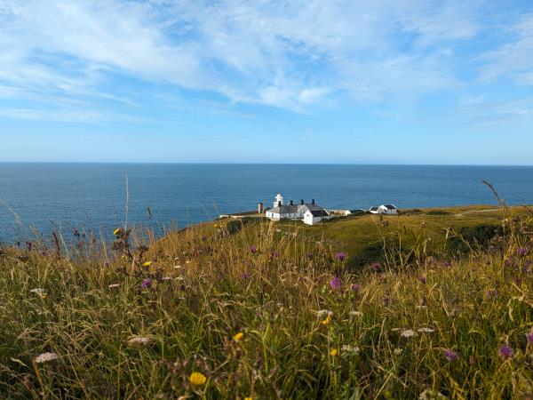 Dorset to Devon self drive holiday