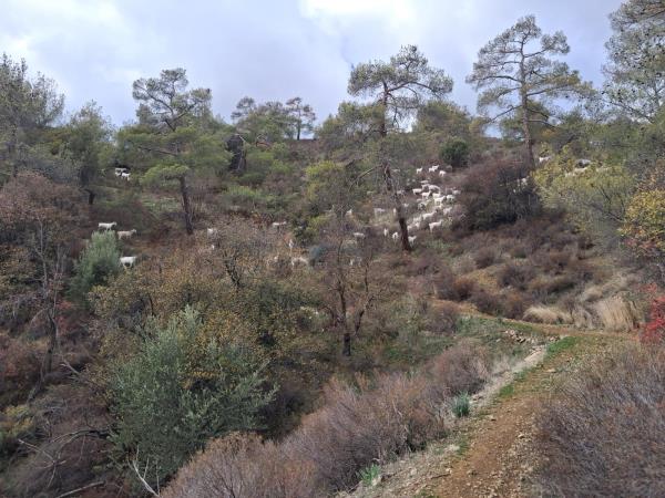 Cyprus trekking holiday