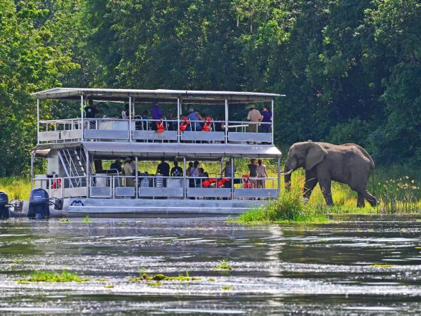 Rhino conservation and safari holiday, Uganda
