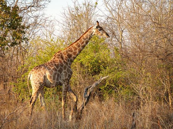 Malawi luxury holiday