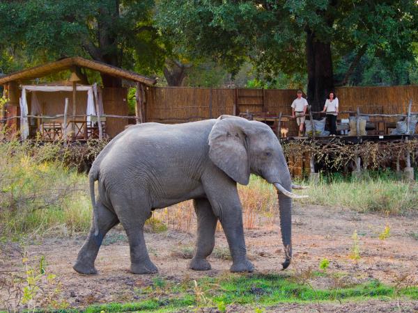 Malawi & Zambia holiday, safari & beach 