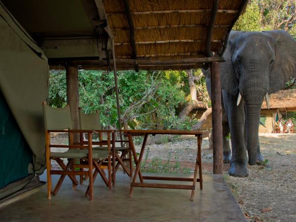 Malawi & Zambia holiday, safari & beach 