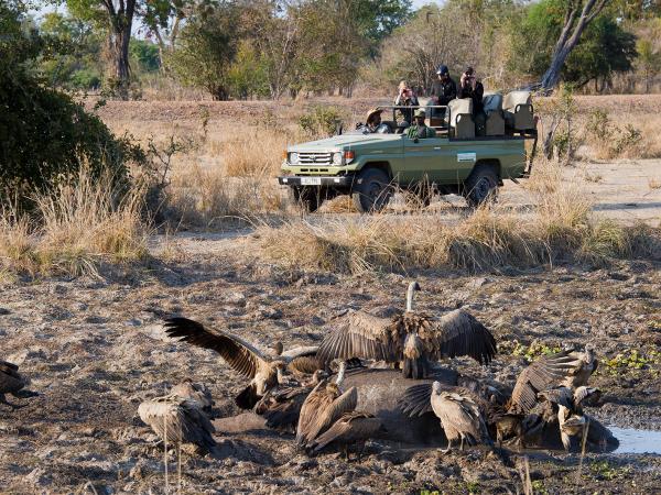 Malawi & Zambia holiday, safari & beach 