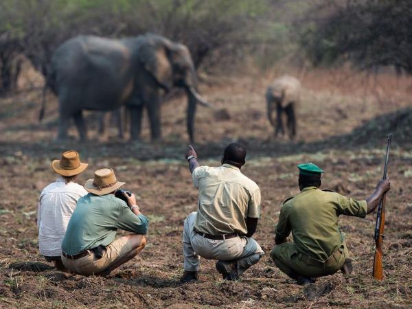 Mobile walking safari in Zambia