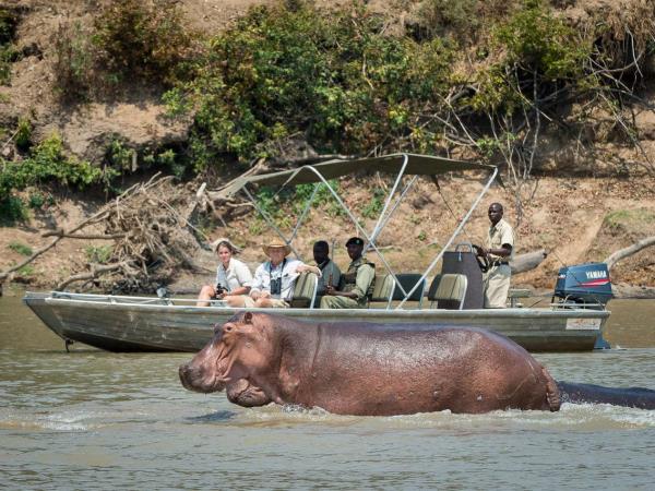Mobile walking safari in Zambia