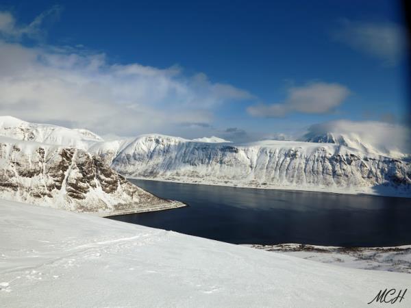 Arctic sailing safari