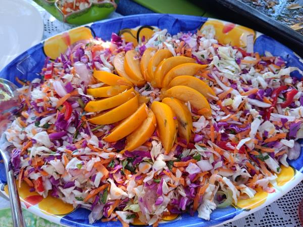 Nutritional food holiday in the Peloponnese