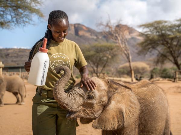 Kenya luxury flying safari holiday