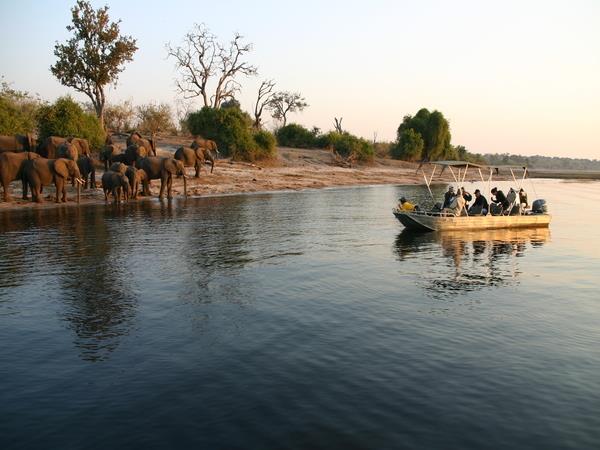 Botswana and Seychelles holiday, safari to beach