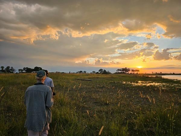 Botswana and Seychelles holiday, safari to beach