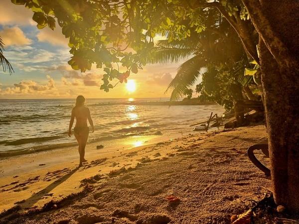 Botswana and Seychelles holiday, safari to beach