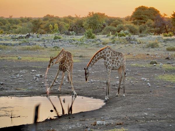 Namibia 3 week self-drive holiday
