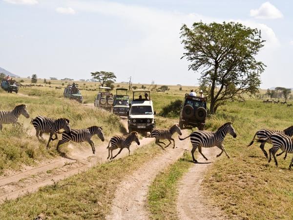 Tanzania Serengeti Adventure