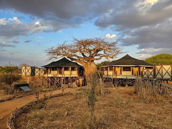 Southern Tanzania safari and Zanzibar holiday
