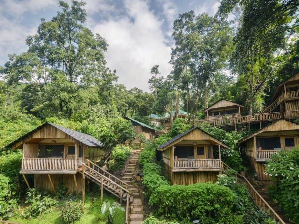 Uganda Gorilla trekking adventure 
