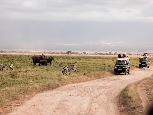 Kenya with kids safari holiday