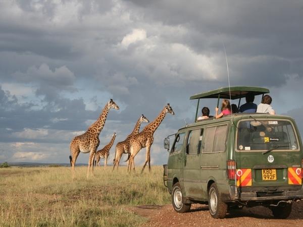 Kenya with kids safari holiday