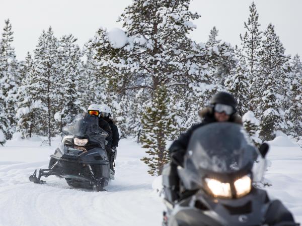 Luxury Arctic Lodge holiday