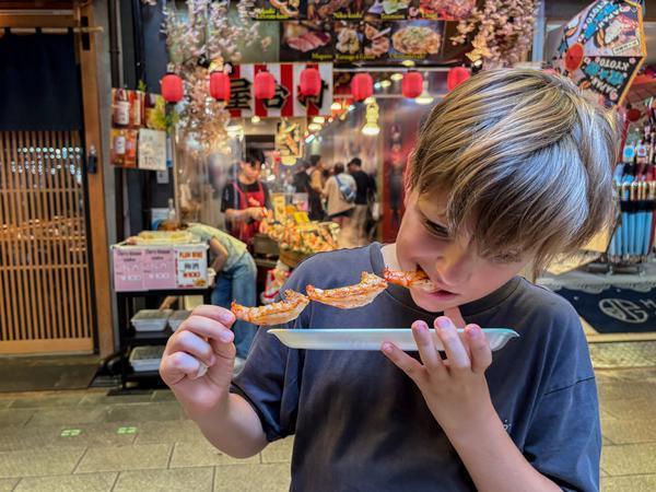 2 week Japan family holidays